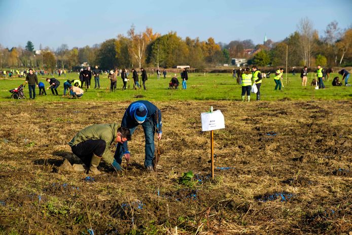 Vrijwilligers in de weer om het stadsrandbos te realiseren
