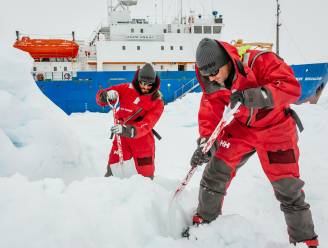 Resistente superbacteriën duiken zelfs op in Antarctica: “Tijd voor een globale oplossing”