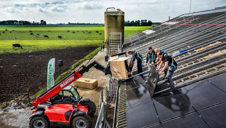 Op het dak van een koeienstal in het Friese Oldestrijne worden zonnepanelen geplaatst Beeld Raymond Rutting / de Volkskrant