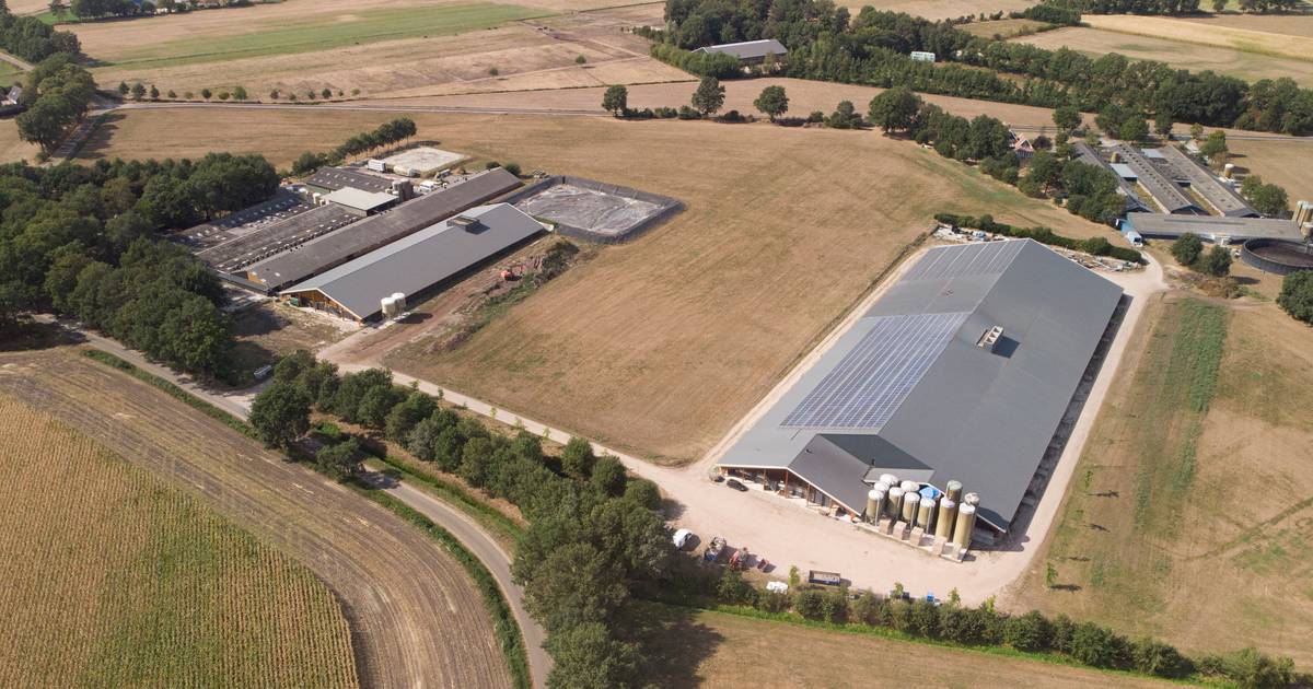 Deze megastal in Twente is het doelwit van de bekendste milieuactivist: 'Maar er komen juist minder 