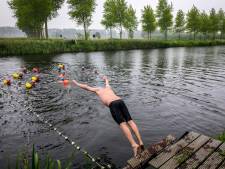 Brugge gaat eendenkroos in Damse Vaart bestrijden om openwaterzwemmen deze zomer mogelijk te maken