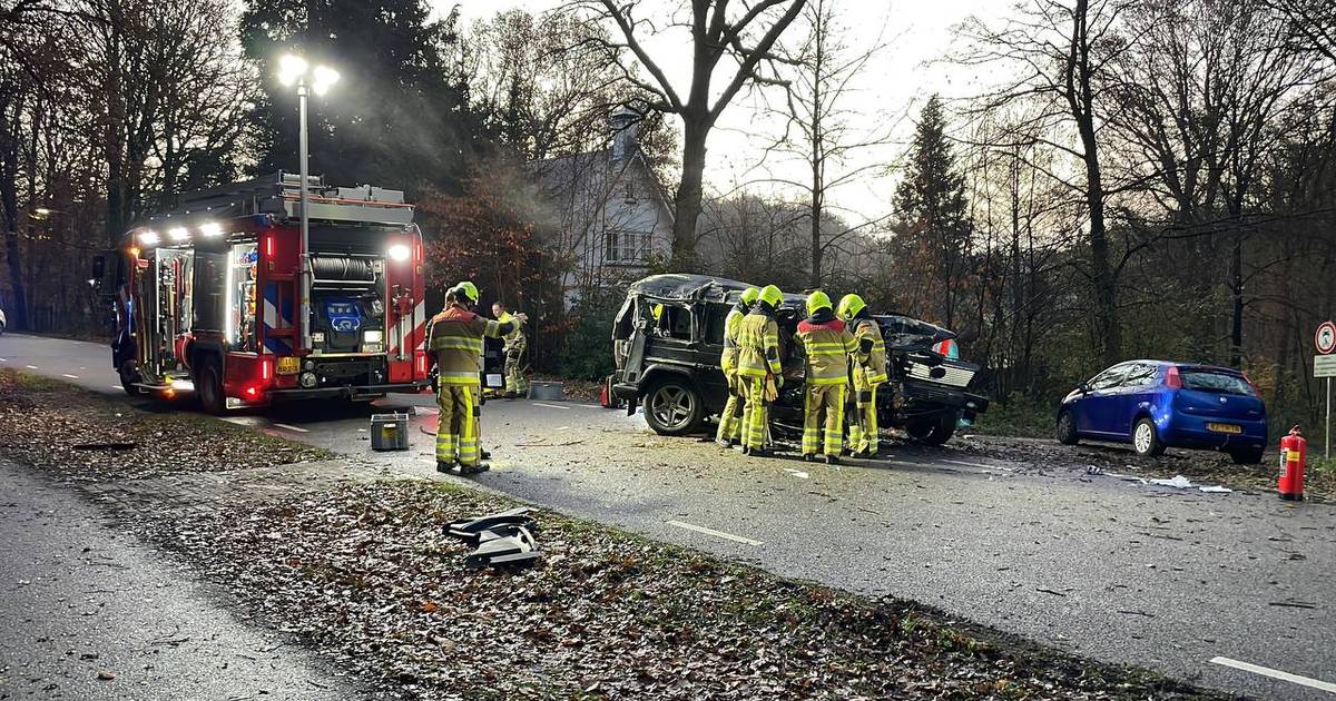Ongeval met letsel op Meerwijkselaan in Heilig landstichting, traumaheli gealarmeerd