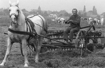 Het Herpts Digitale Familiealbum dijt maar uit: al 1.500 oude foto’s op een rij