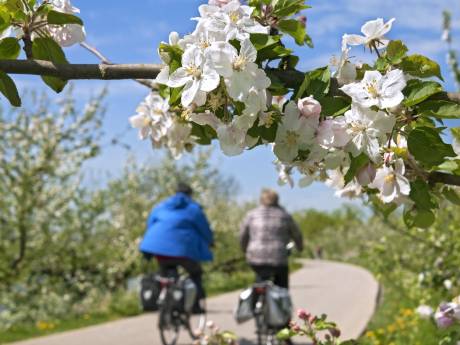 Vijf prachtige bloesemroutes die je niet wilt missen