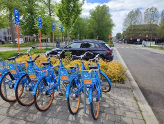Nieuwe locaties voor Blue-bikes op Albertvest en Kabbeekvest