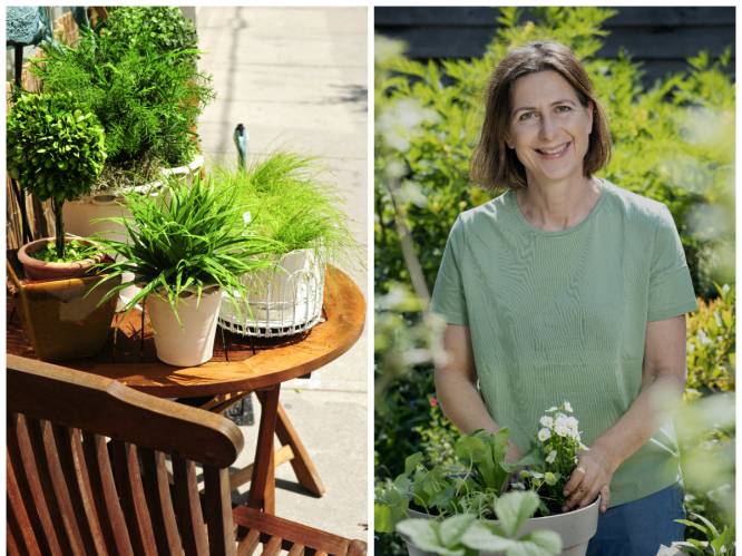 “Kamerplanten buitenzetten maakt ze sterker én mooier”: zo pak je het volgens onze tuinexperte slim aan