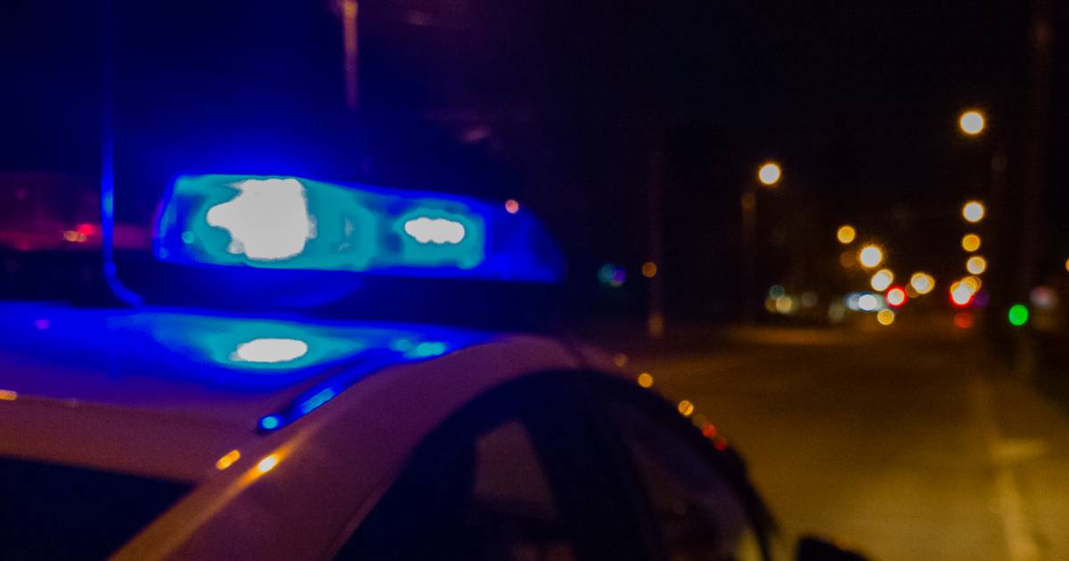 Motorrijder overlijdt na botsing tegen boom in Sluis.