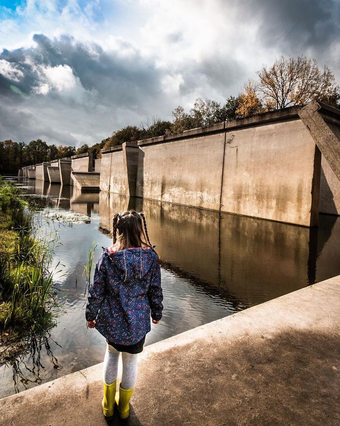 Het Weer In Marknesse Wie zet Waterloobos in Marknesse dit najaar het mooist op de foto
