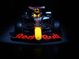 Volop speculaties rond Formule 1: alles wijst erop dat Ford en Red Bull met elkaar in zee gaan