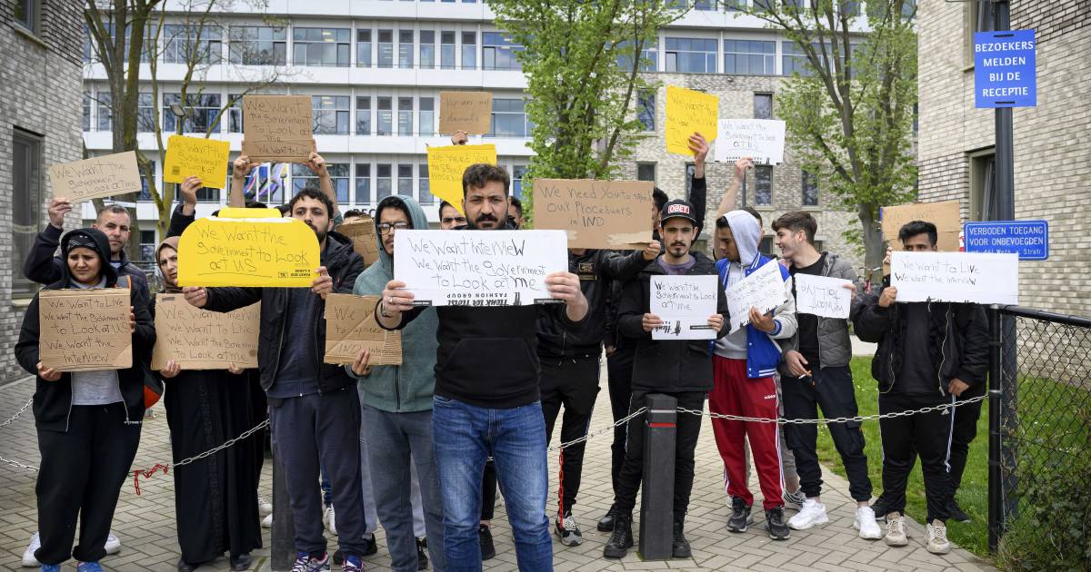 Lettera di fuoco dei comuni del Limburgo sui rifugiati: “Paura dei disordini sociali” |  interno