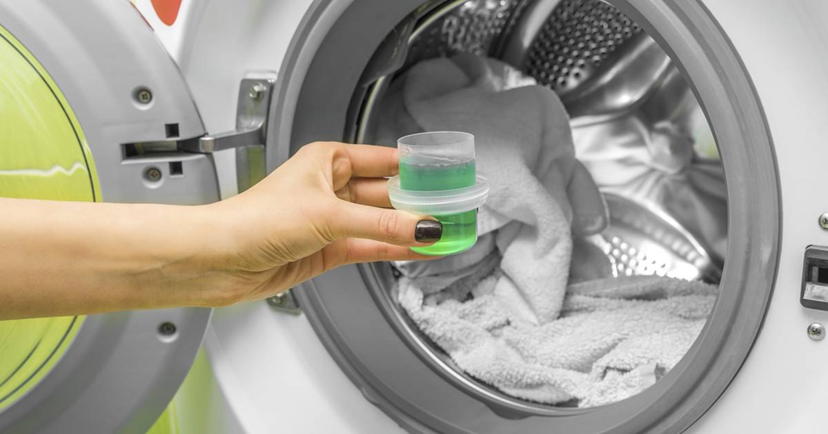 Wacht even Tegenwerken Afkeer Wasmachine kopen? Dit zijn de beste op de markt | Multimedia | hln.be