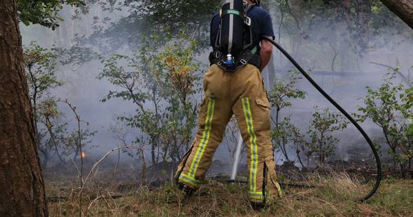 Alertheid na bosbrand in Milheeze, deel ligweide bij strandbad afgezet