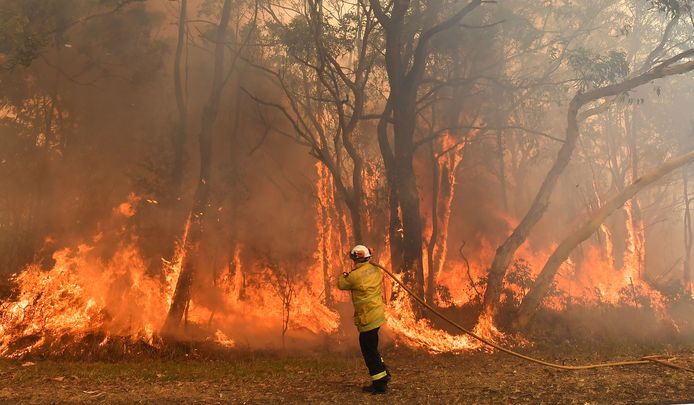 Een spuitgast gaat de strijd aan met een bosbrand in Central Coast, in het oosten van Australië. Het land worstelt sinds september met natuurbranden en in november nam het vuur nog in intensiteit toe.