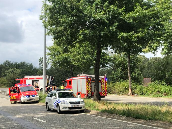 Het ongeval gebeurde op de Houtlaan in Wijnegem.