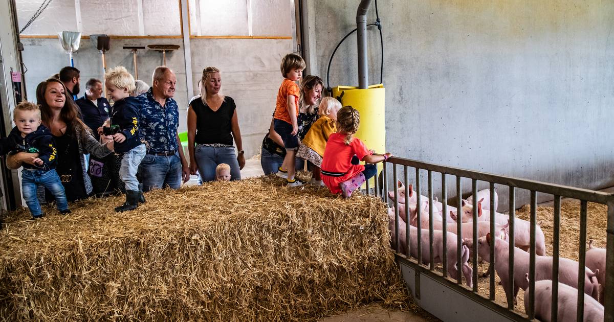 Wroetstal in Heeten oogst lof, maar het is toch een beetje 'kijken, kijken, niet kopen' - De Stentor