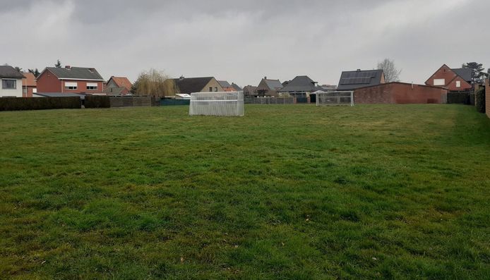 Het polyvalente grasveld in de Bosvelden moet een meer natuurlijke inrichting krijgen.