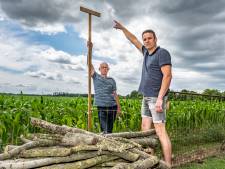Hilvarenbeek vergunt 50 hectare aan zonneparken