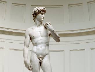 Schooldirecteur VS moet opstappen nadat leerlingen standbeeld ‘David’ van Michelangelo te zien kregen