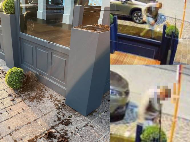 Ondernemer Peter De Groote vraagt hardere aanpak vandalisme nadat iemand bloempot aan Kaffee André stukgooit: “Om moedeloos van te worden” 