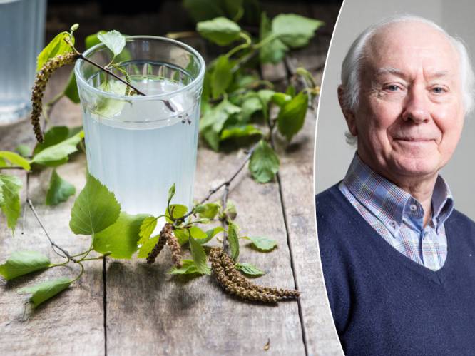 Berkenwater is het nieuwe kokoswater: een gezonde manier om je lichaam te detoxen of niet?