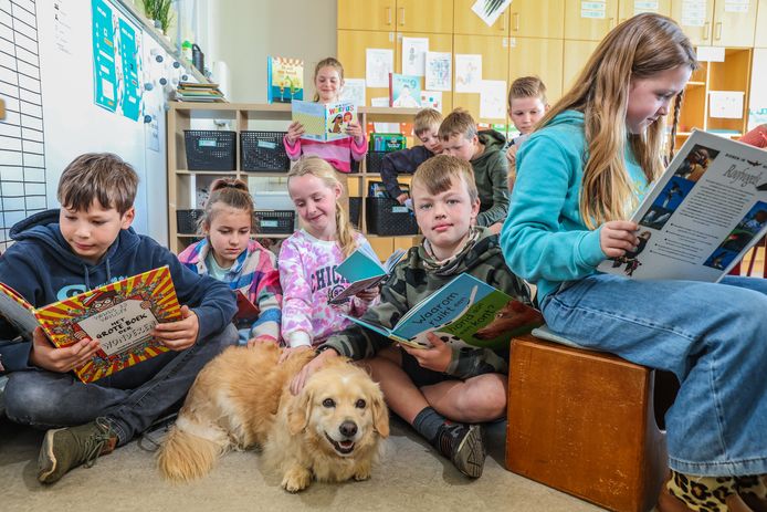 Mollie aan het werk in het leeshoekje van het vierde leerjaar in de gemeentelijke basisschool Heieinde in Vosselaar. De schoolhond bracht zijn eigen boekjes mee, met leuke titels zoals ‘Waarom ruikt een hond een kont?’