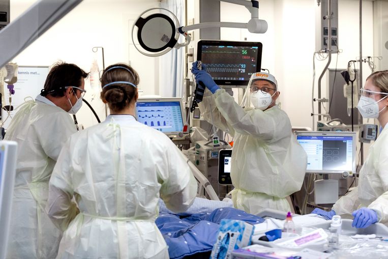 Verplegend personeel bij een coronapatiënt op de intensive care van het Maastricht UMC+. Beeld Roger Dohmen