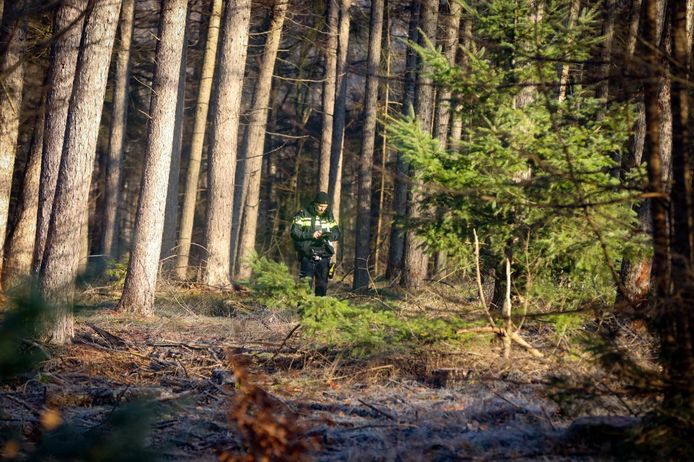 De politie doet onderzoek in een bos langs de N224 in Ede.