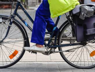 Volwaardig fietspad voor Vitsstraat