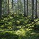 ‘Herfstdaden’ is een spannende thriller én idyllisch als een kinderboek van Astrid Lindgren