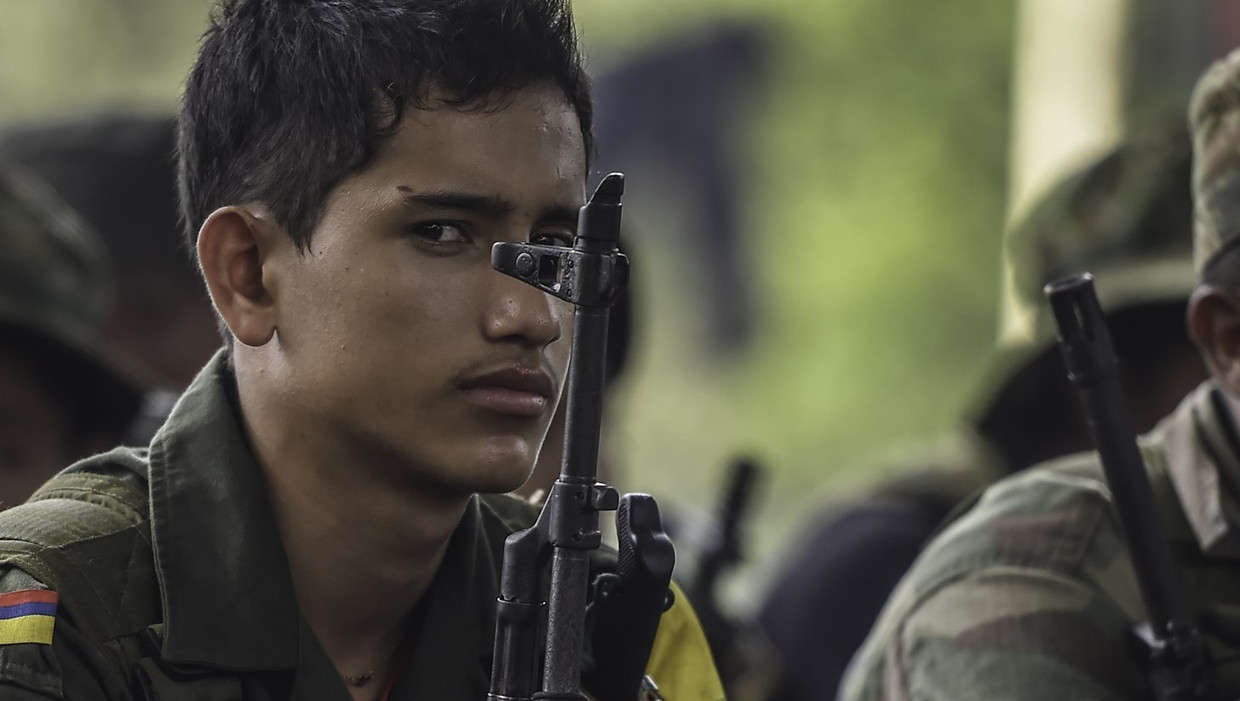 Een jong lid van FARC in de Colombiaanse jungle. Beeld anp