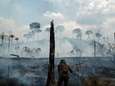 63 mensen opgepakt in verband met bosbranden Amazone