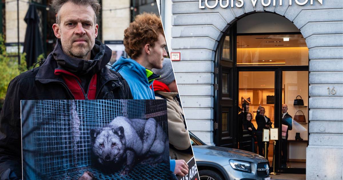 Protestactie aan Louis Vuitton-winkel in Antwerpen: "Ze kennen het dierenleed, maar blijven toch bont verkopen"