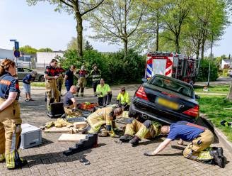 Kat zit vast onder auto in Oosterhout: brandweer haalt voertuig deels uit elkaar om beestje te redden