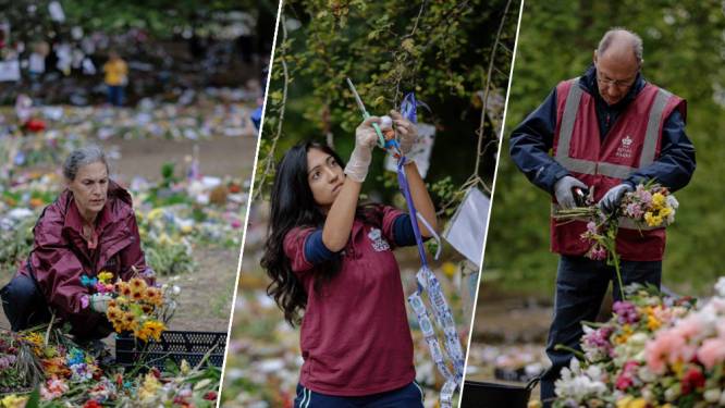 IN BEELD. Na het eerbetoon, nu de opkuis: vrijwilligers halen bloemen voor de Queen weg uit Londense parken