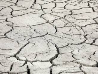 N-VA wil dat gemeente droogteplan opstelt