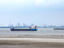 Wanhoopspoging D66 tegen stort baggerspecie: ‘Als niet uiterlijk maandag een ambtenaar met een aangetekende brief naar Brussel gaat, zijn we te laat’