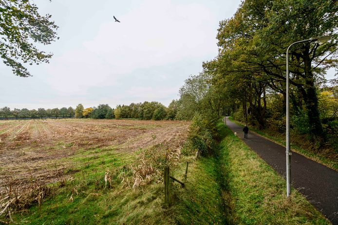 Als het aan B en W van Hengelo ligt komen op het maisveld naast het Bartelinkslaantje zeven woonwagens te staan.