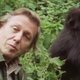 Gorilla's, pinguins en de liervogel dienen David Attenborough van repliek (filmpjes)