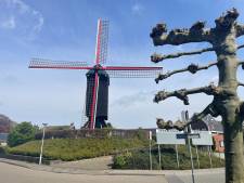 Molen van Kloosterzande is de tiende in Zeeland die stil staat: ‘Weinig aannemers kunnen molen herstellen’