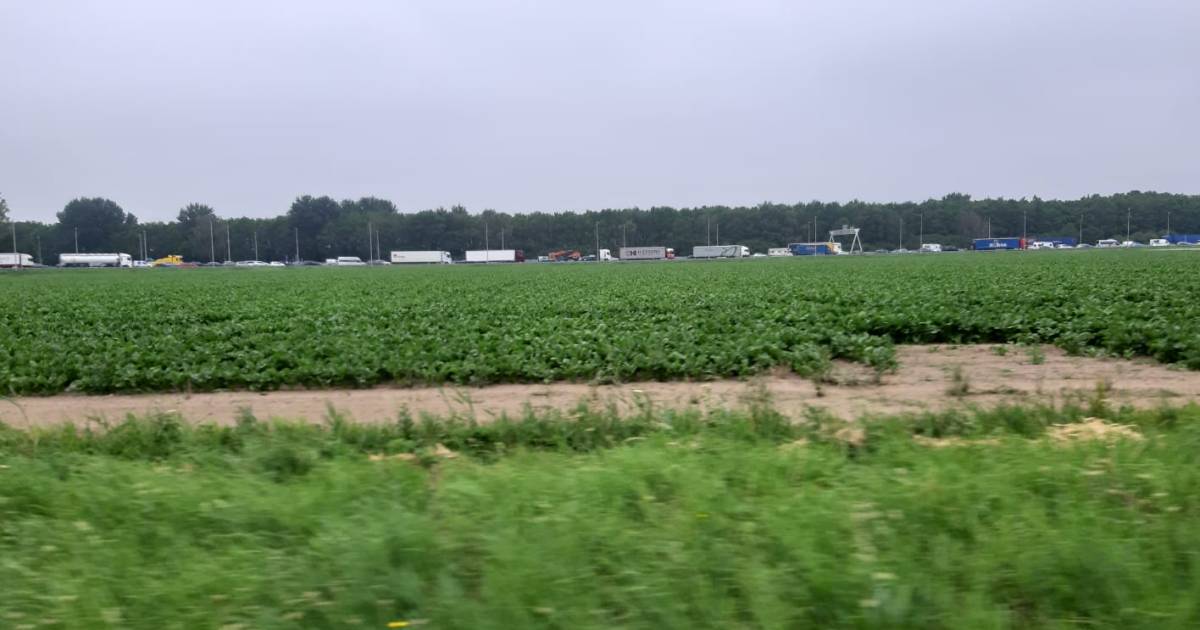 Ongeluk met vrachtauto bij Almere: rijbaan op A6 richting Lelystad afgesloten.