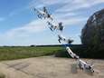 Drone uit Delft vliegt op waterstof en stijgt verticaal op