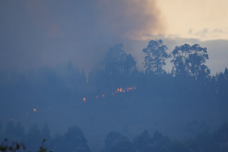 Bosbranden in Sopela, Spanje, op 28 oktober 2022. Beeld REUTERS/Vincent West