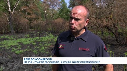 42. Fagnes : après les incendies