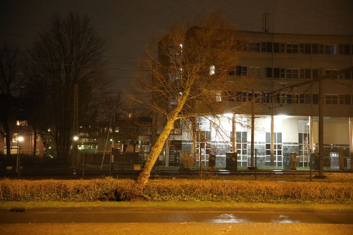 Een boom op het spoor in Apeldoorn. NS heeft op tal van plekken last van stormschade waar het treinverkeer hinder van ondervindt.