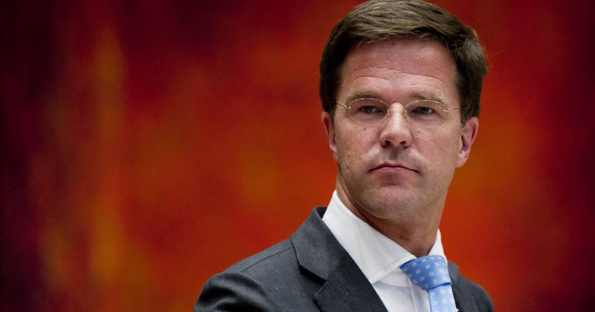 @RTLnieuws ´ Dus koop allemaal een hond, lekker de hele avond uit met de hond.