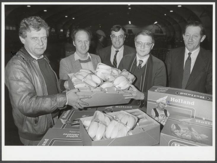 Hoe de glastuinbouw in de regio keihard groeide (maar een extra grote veiling was van tijdelijke aard)