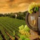 Franse wijnbeurs draait om duurzaamheid