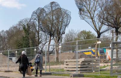 Verboden voor vogels