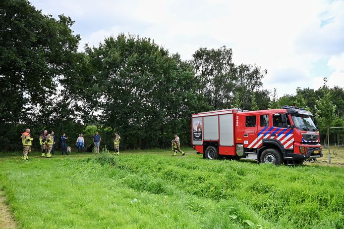 In Oisterwijk werd zaterdag een das gevonden. Wonder boven wonder kon het dier levend gered worden.