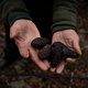 Gewone avocadoboeren in Chili zien hun vruchten verschrompelen. De droogte en de rijken hebben gewonnen